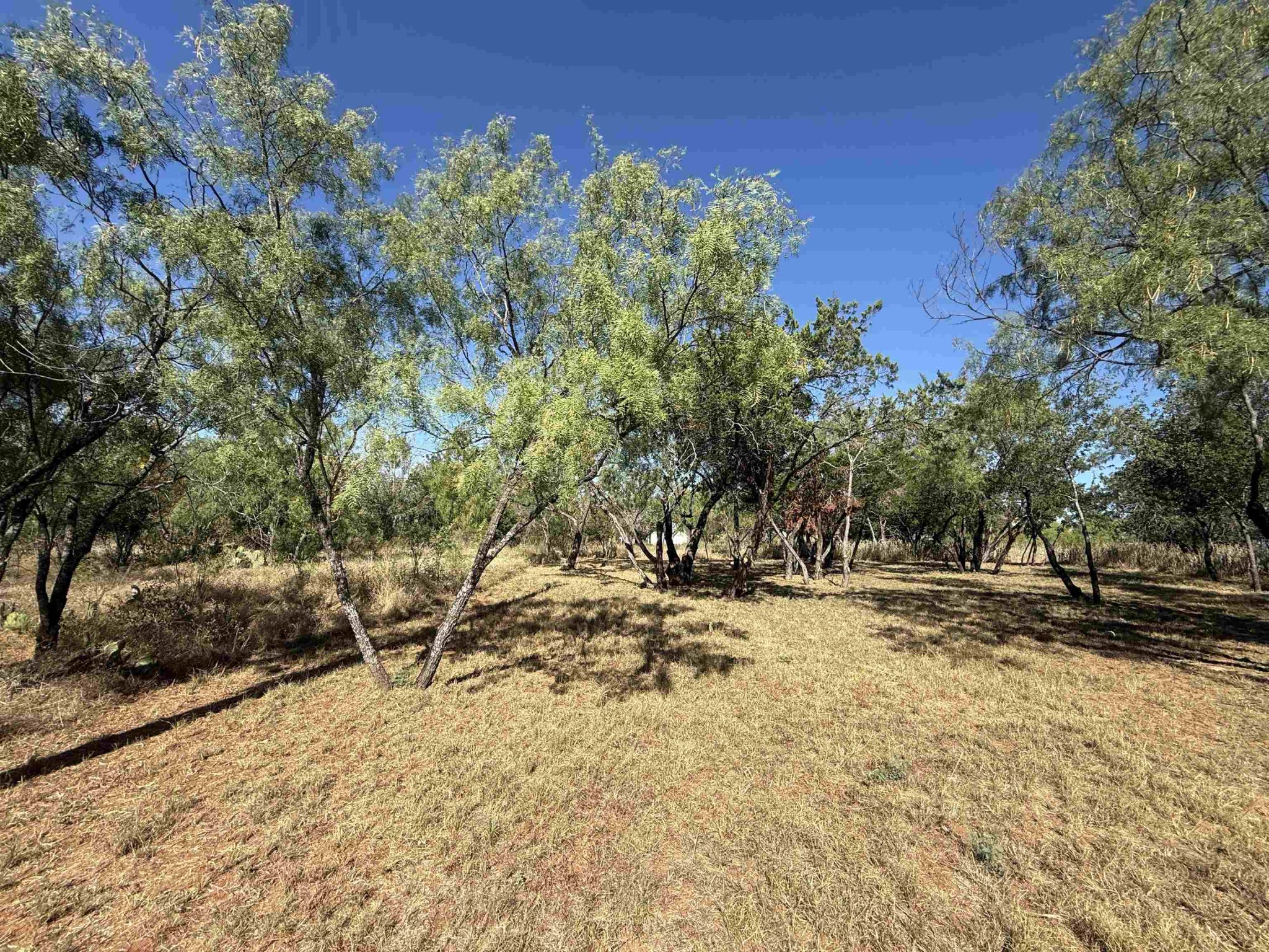 Lot #496 Driftwood, Cottonwood Shores