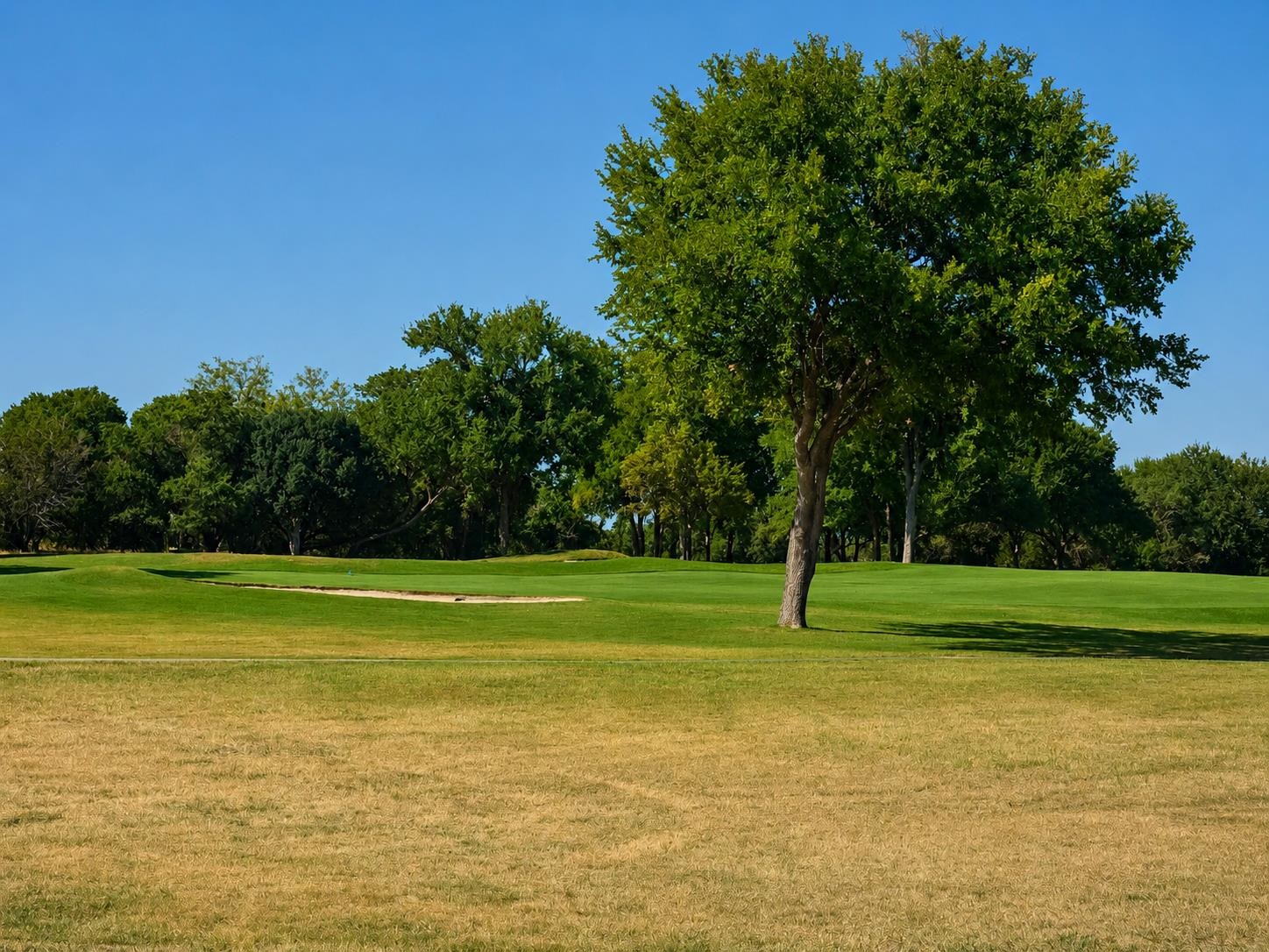 Golf course is within minutes from homesite via Golf cart ride