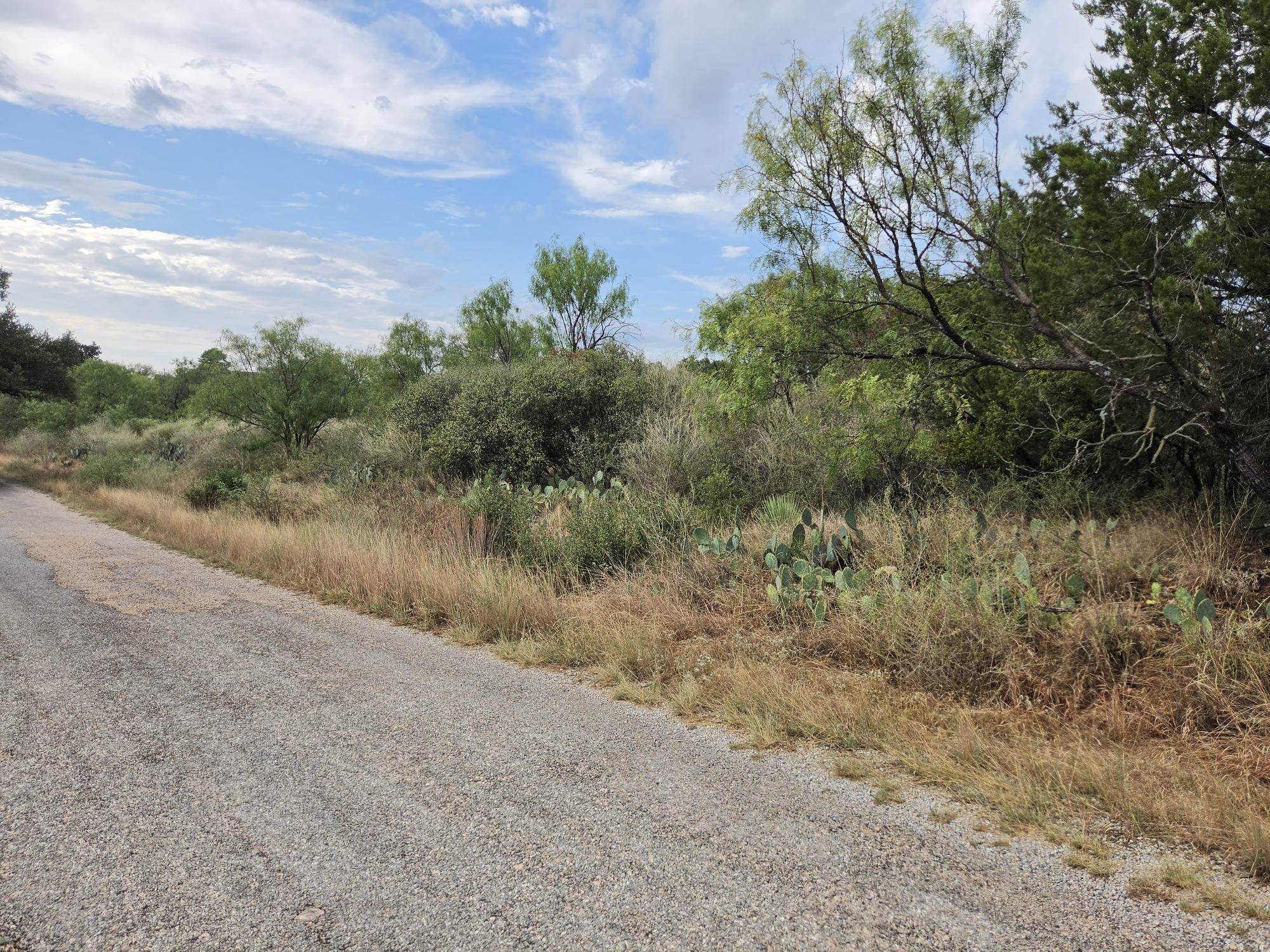 Lots 112, 113 Cedarhill, Granite Shoals