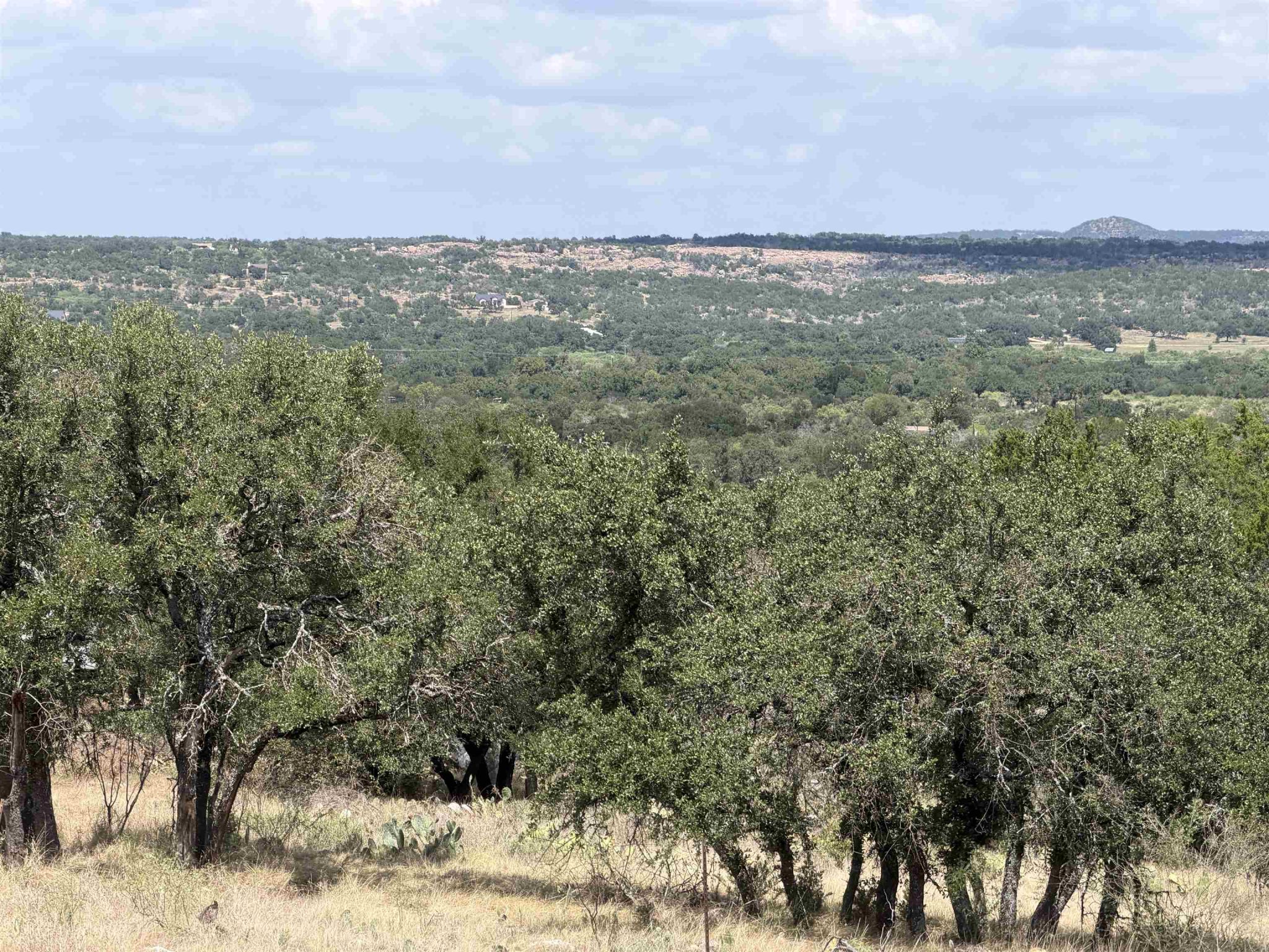 Lot 227 Deer Springs, Burnet