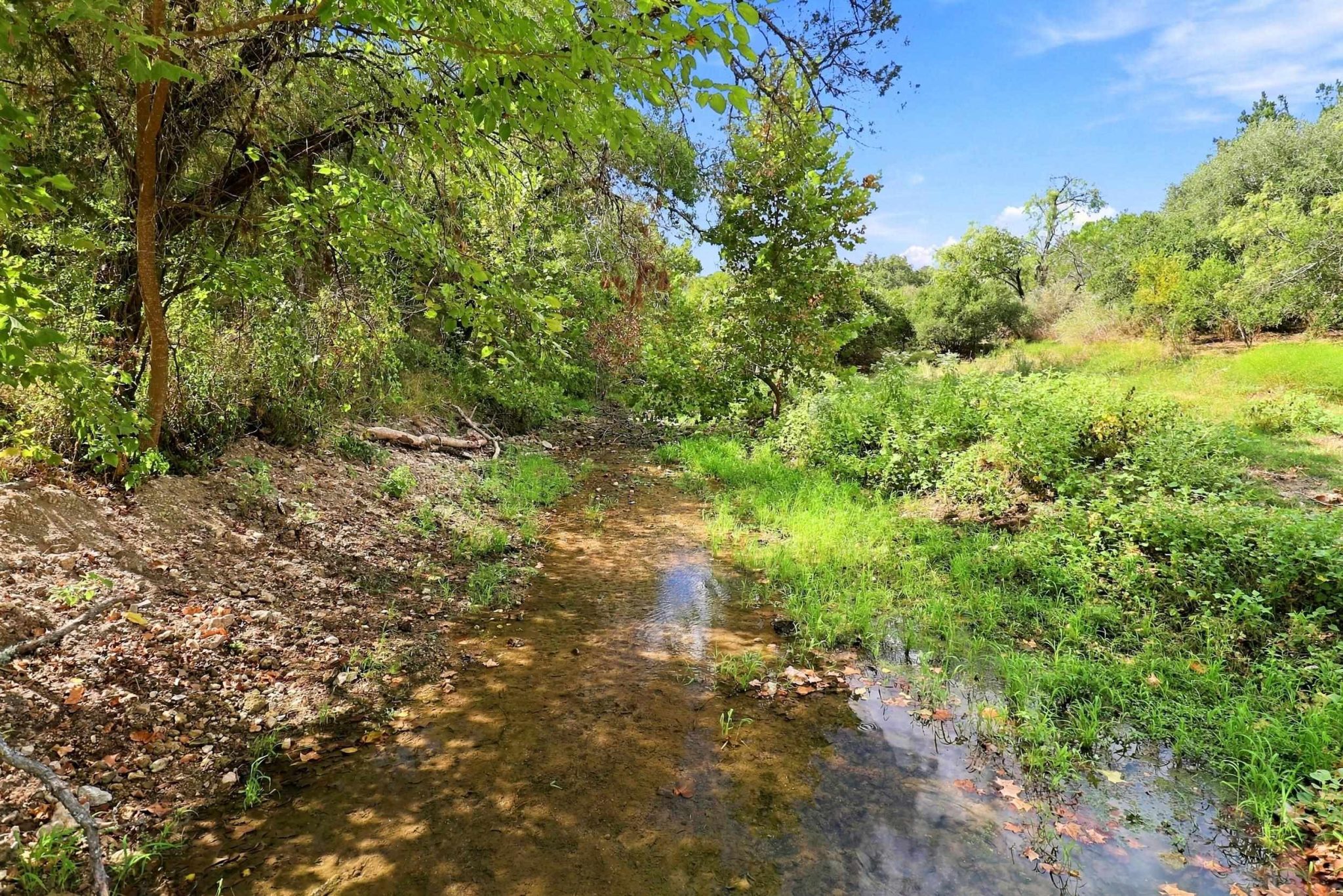 A peaceful creek winds through Wolf Creek Ranch's natural landscape, adding another layer of beauty.