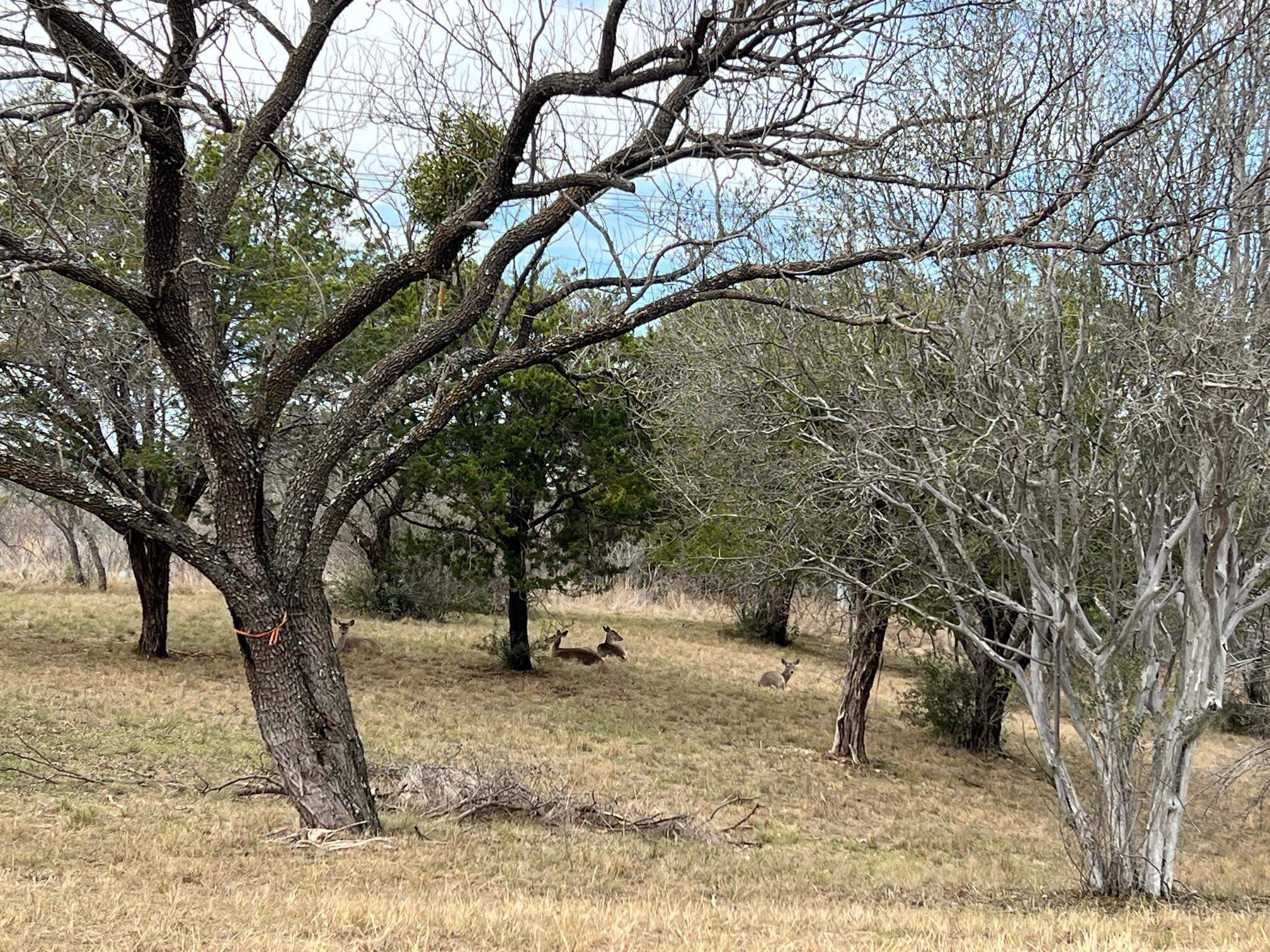 Duplex Lot 8002 Hi Circle West, Horseshoe Bay